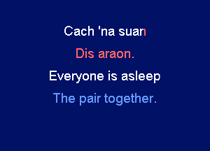 Cach 'na suan

Dis araon.

Everyone is asleep

The pair together.