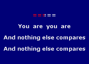 You are you are

And nothing else compares

And nothing else compares