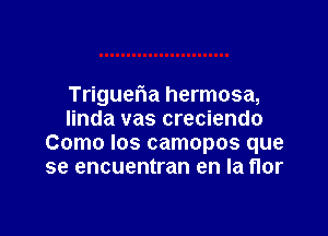 Triguefwa hermosa,

linda vas creciendo
Como los camopos que
se encuentran en la flor