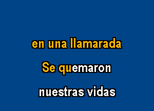 en una llamarada

Se quemaron

nuestras vidas