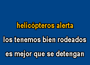 helicdpteros alerta

Ios tenemos bien rodeados

es mejor que se detengan