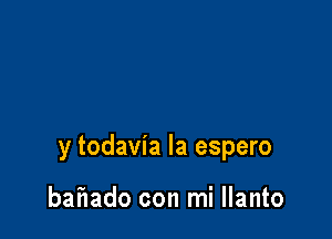 y todavia la espero

bafIado con mi llanto