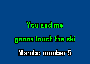 You and me

gonna touch the ski

Mambo number 5