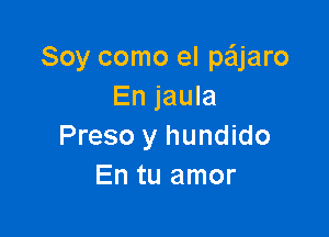 Soy como el paaro
En jaula

Preso y hundido
En tu amor