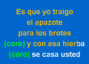 Es que yo traigo
el apazote

para Ios brotes
(coro) y con esa hierba
(coro) se casa usted