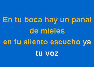 En tu boca hay un panal
de mieles

en tu aliento escucho ya
tu voz