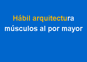 Heibil arquitectura
masculos al por mayor