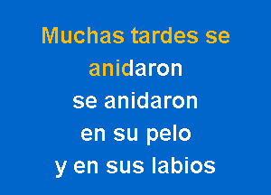 Muchas tardes se
anidaron

se anidaron
en su pelo
y en sus labios