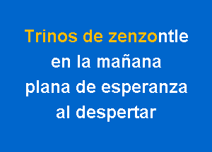 Trinos de zenzontle
en la mafiana

plana de esperanza
al despertar