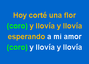 Hoy corw una flor
(coro) y llovia y llovia

esperando a mi amor
(coro) y Ilovia y Ilovia