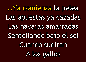 ..Ya comienza la pelea
Las apuestas ya cazadas
Las navajas amarradas
Sentellando bajo el sol
Cuando sueltan
A los gallos