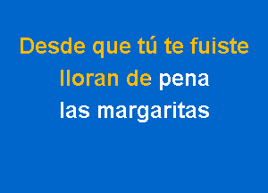 Desde que tL'l te fuiste
Iloran de pena

las margaritas