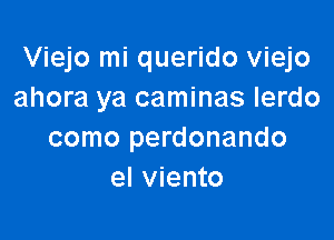 Viejo mi querido Viejo
ahora ya caminas lerdo

como perdonando
el viento