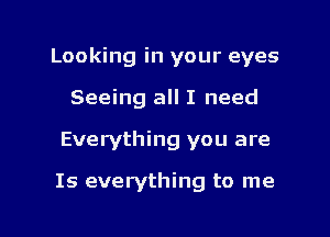 Looking in your eyes

Seeing all I need
Everything you are

Is everything to me