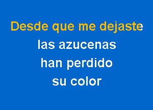 Desde que me dejaste
las azucenas

han perdido
su color