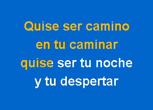 Quise ser camino
en tu caminar

quise ser tu noche
y tu despertar
