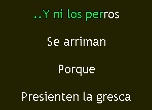 ..Y ni los perros
Se arriman

Porque

Presienten la gresca