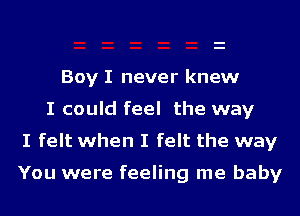 Boy I never knew
I could feel the way
I felt when I felt the way

You were feeling me baby