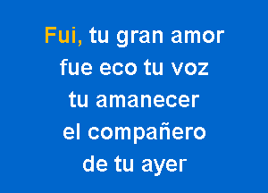 Fui, tu gran amor
fue eco tu voz

tu amanecer
el companiero
de tu ayer