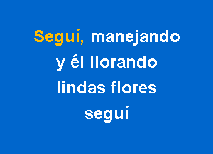 Segui, manejando
y (el llorando

lindas flores
segui