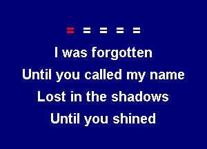 I was forgotten

Until you called my name
Lost in the shadows
Until you shined