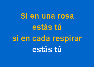 Si en una rosa
esteis tL'I

si en cada respirar
estais t0