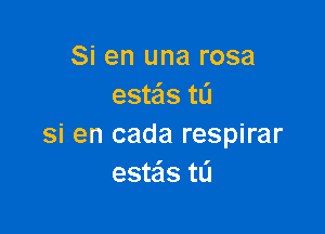 Si en una rosa
esteis tL'I

si en cada respirar
estais t0