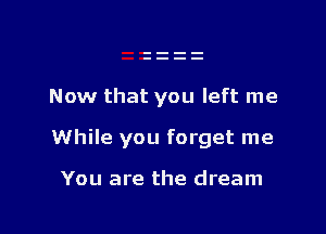 Now that you left me

While you forget me

You are the dream