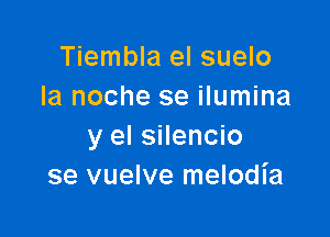 Tiembla el suelo
la noche se ilumina

y el silencio
se vuelve melodia