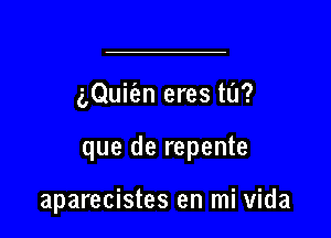 (pQuifen eres til?

que de repente

aparecistes en mi Vida