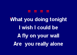 What you doing tonight

I wish I could be
A fly on your wall
Are you really alone