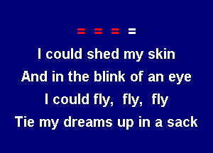 I could shed my skin

And in the blink of an eye
I could fly, fly, fly
Tie my dreams up in a sack