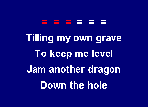Tilling my own grave
To keep me level

Jam another dragon
Down the hole