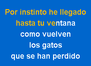 Por instinto he Ilegado
hasta tu ventana

como vuelven
Ios gatos
que se han perdido