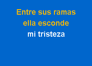 Entre sus ramas
ella esconde

mi tristeza