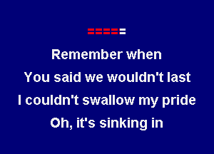 Remember when
You said we wouldn't last

I couldn't swallow my pride

Oh, it's sinking in