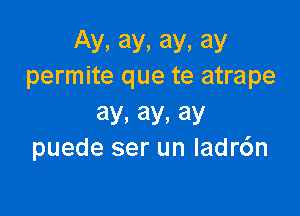 Ay, ay, ay, ay
permite que te atrape

ay, ay, ay
puede ser un ladr6n