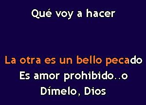 Que' voy a hacer

La otra es un bello pecado
Es amor prohibido..o
Dimelo, Dios