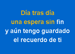 Dia tras dia
una espera sin fin

y aun tengo guardado
el recuerdo de ti