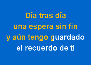 Dia tras dia
una espera sin fin

y aun tengo guardado
el recuerdo de ti